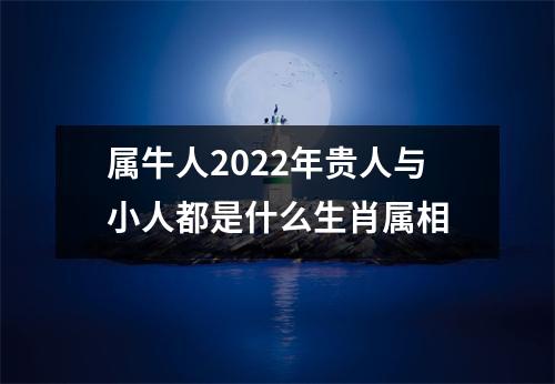 <h3>属牛人2025年贵人与小人都是什么生肖属相