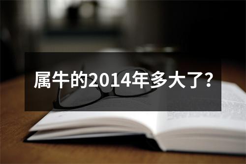 <h3>属牛的2014年多大了？