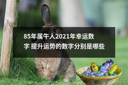 <h3>85年属牛人2025年幸运数字提升运势的数字分别是哪些