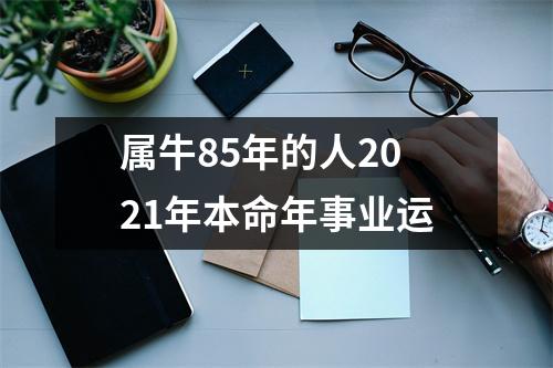 属牛85年的人2025年本命年事业运