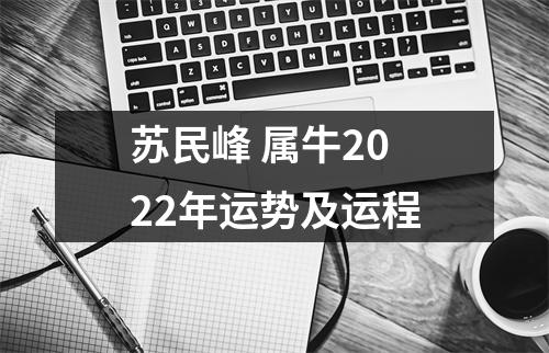 苏民峰属牛2022年运势及运程