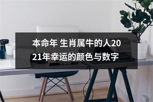 本命年生肖属牛的人2025年幸运的颜色与数字