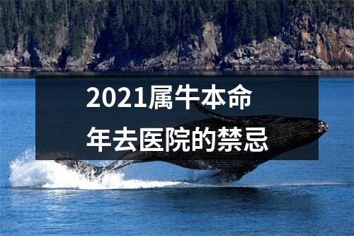 2025属牛本命年去医院的禁忌