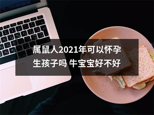 属鼠人2025年可以怀孕生孩子吗牛宝宝好不好