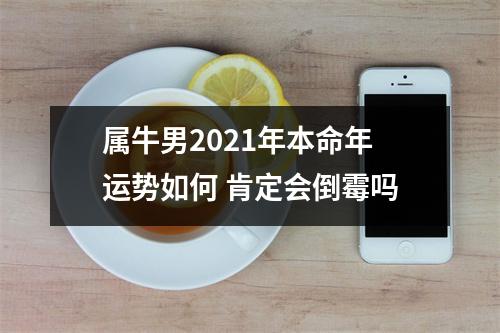 属牛男2021年本命年运势如何肯定会倒霉吗