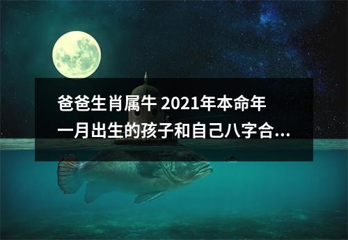 爸爸生肖属牛2025年本命年一月出生的孩子和自己八字合不合