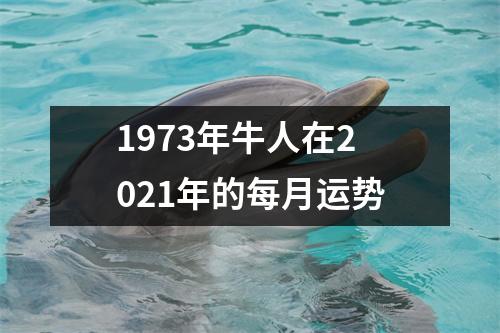 1973年牛人在2021年的每月运势