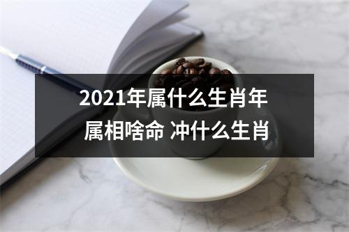 2025年属什么生肖年属相啥命冲什么生肖