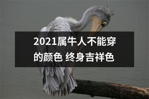 2021属牛人不能穿的颜色终身吉祥色