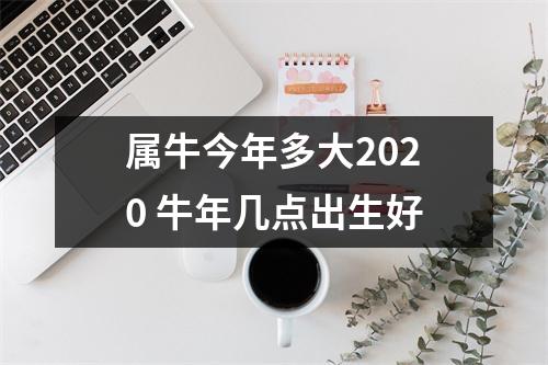 属牛今年多大2020牛年几点出生好