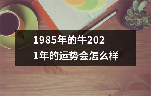 1985年的牛2025年的运势会怎么样