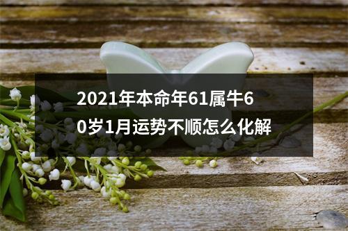 2025年本命年61属牛60岁1月运势不顺怎么化解