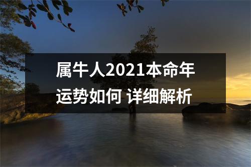 属牛人2025本命年运势如何详细解析