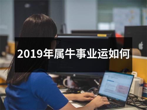 2019年属牛事业运如何