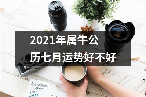 2025年属牛公历七月运势好不好