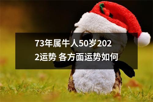 73年属牛人50岁2025运势各方面运势如何