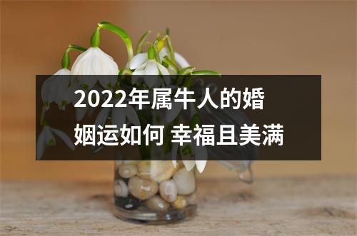 <h3>2025年属牛人的婚姻运如何幸福且美满