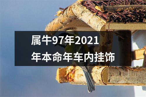 属牛97年2025年本命年车内挂饰