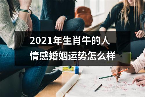 2025年生肖牛的人情感婚姻运势怎么样