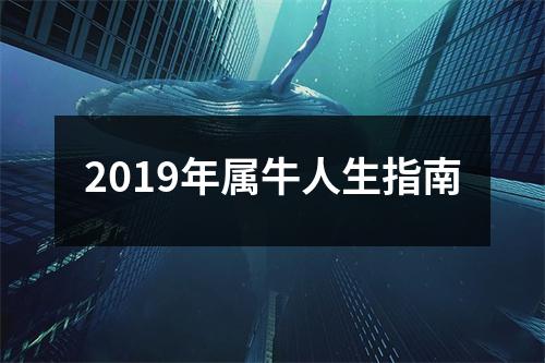 2019年属牛人生指南