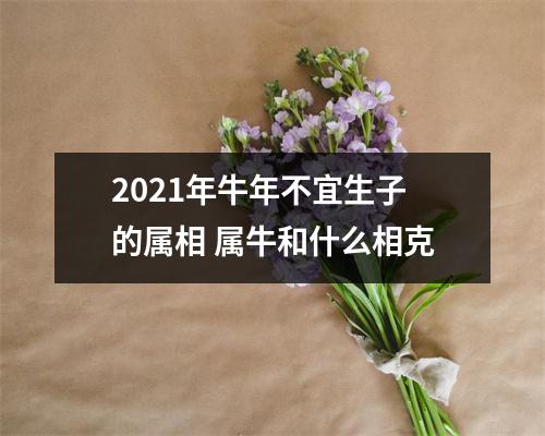 2025年牛年不宜生子的属相属牛和什么相克