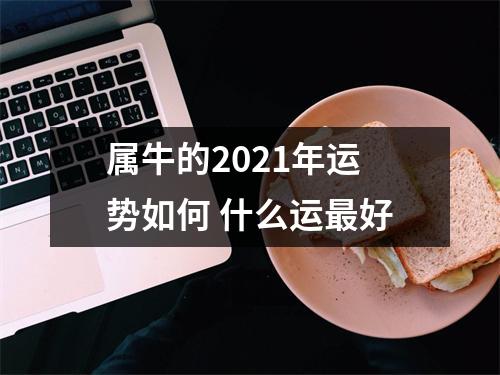 <h3>属牛的2025年运势如何什么运好