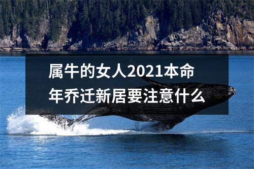 <h3>属牛的女人2025本命年乔迁新居要注意什么