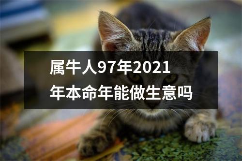 属牛人97年2025年本命年能做生意吗