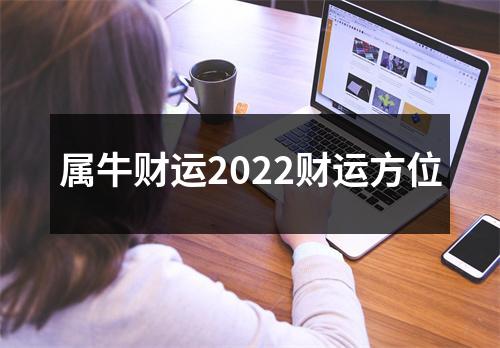 属牛财运2025财运方位