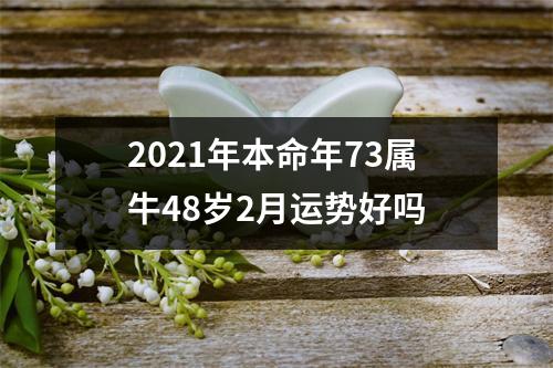 2025年本命年73属牛48岁2月运势好吗