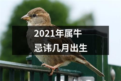 2025年属牛忌讳几月出生