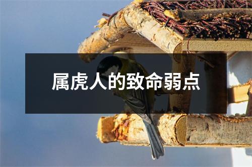 属虎人的致命弱点