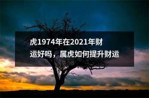 虎1974年在2025年财运好吗，属虎如何提升财运