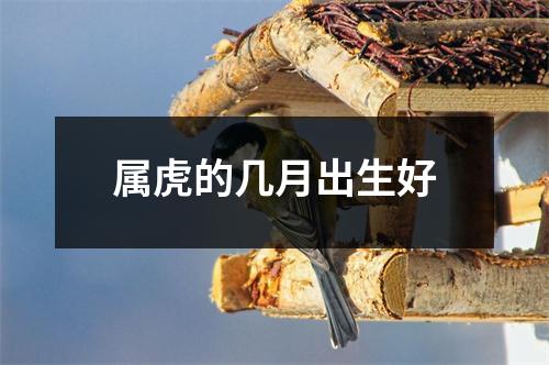 属虎的几月出生好