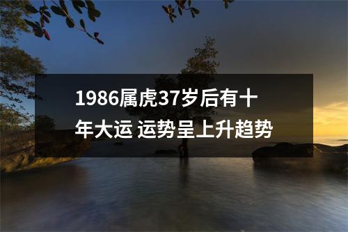 1986属虎37岁后有十年大运运势呈上升趋势