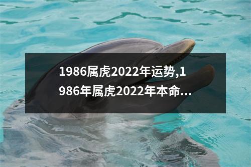 1986属虎2025年运势,1986年属虎2025年本命年好吗