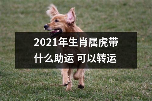 2025年生肖属虎带什么助运可以转运