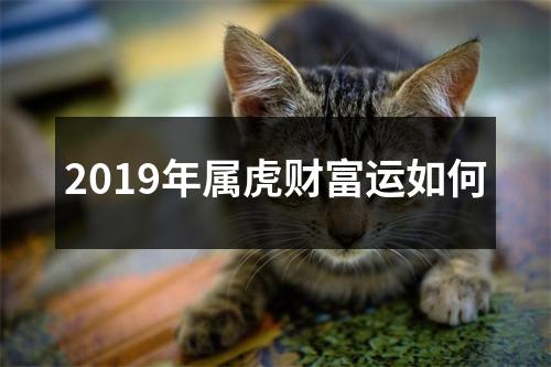 2019年属虎财富运如何