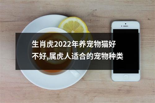 生肖虎2025年养宠物猫好不好,属虎人适合的宠物种类