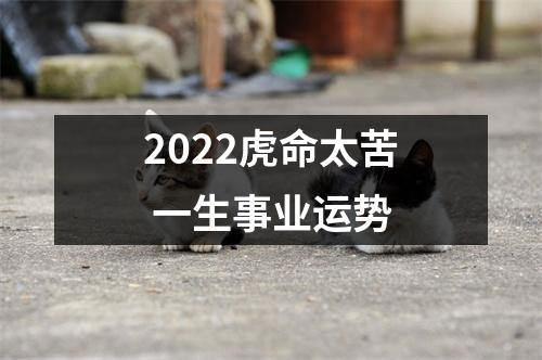 2025虎命太苦一生事业运势