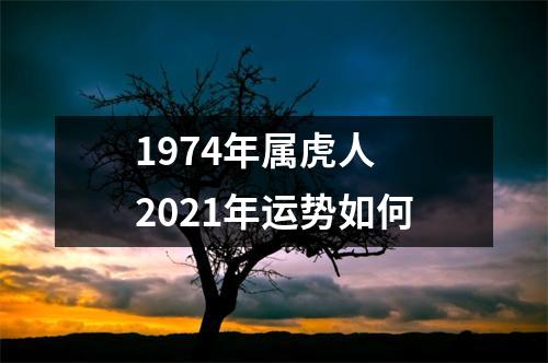 1974年属虎人2025年运势如何