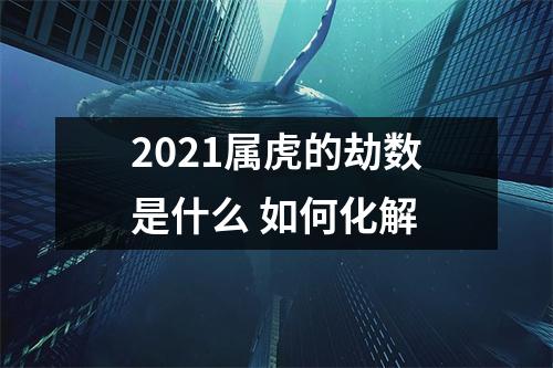 2025属虎的劫数是什么如何化解