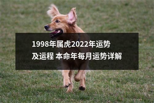 1998年属虎2025年运势及运程本命年每月运势详解