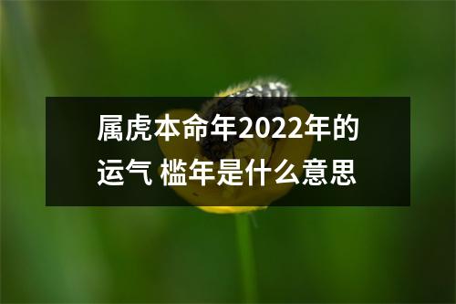 属虎本命年2025年的运气槛年是什么意思