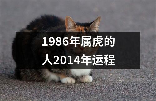 1986年属虎的人2014年运程