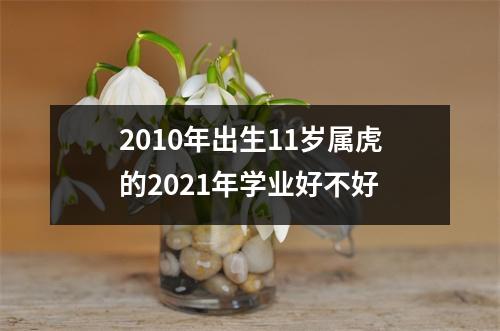 2010年出生11岁属虎的2025年学业好不好