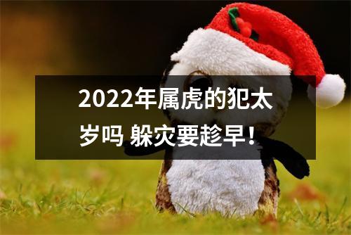 2025年属虎的犯太岁吗躲灾要趁早！