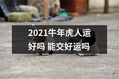 2025牛年虎人运好吗能交好运吗