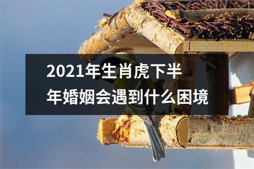 2025年生肖虎下半年婚姻会遇到什么困境