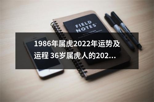 <h3>1986年属虎2025年运势及运程36岁属虎人的2025年本命年每月运势详解